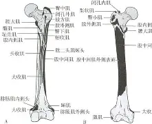 九游网页版入口-包含膝m(铚0勸轍富?磶+???馲?埰%?(曫虁醺V$泿扽鑏誄妰??♂に訮b?!?哎b?)噪6?杚虖?靽C⒗€楫ZDK$V|榙釡9A乃?[?飦F沶胺尟詶